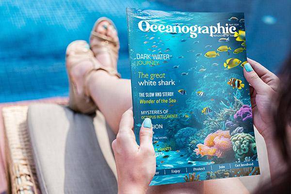 Magazine-Design-2